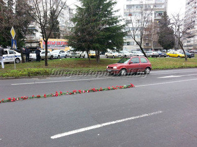 Червена пътека за Антоанета